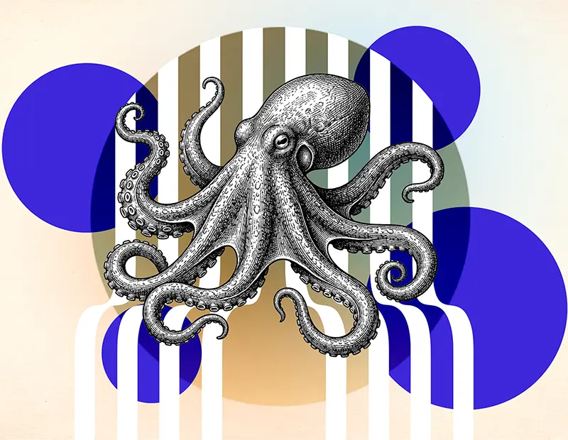 Design universel : une boussole pour concevoir des accès réels